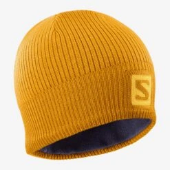Salomon Logo Beanie (Autumn Blaze/Citrus)