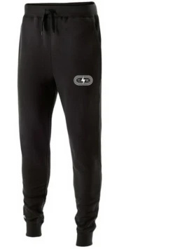 Women's Slim Fit Fleece Joggers with Pockets - Black & Metallic Silver