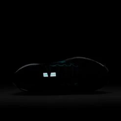 Nike Men's Pegasus 41 (007 - Black/Dusty Cactus-Cool Grey-White) -TCRunning Shop AURORA FD2722 007 PHSTH200 2000