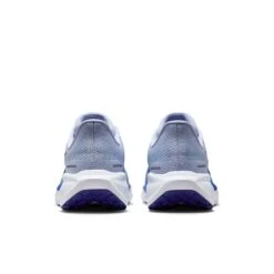 Nike Men's Pegasus 41 (014 - Ghost/Blue Void-Football Grey-Deep Night) -TCRunning Shop AURORA FD2722 014 PHCBH000 2000