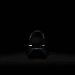 Nike Men's Pegasus 41 (015 - Pure Platinum/Anthracite-LT Armory Blue) -TCRunning Shop AURORA FD2722 015 PHSBH200 2000