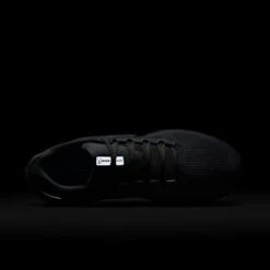 Nike Men's Pegasus 41 (015 - Pure Platinum/Anthracite-LT Armory Blue) -TCRunning Shop AURORA FD2722 015 PHSTH200 2000