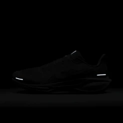 Nike Men's Pegasus 41 (102 - White/White-Pure Platinum) -TCRunning Shop AURORA FD2722 102 PHSLH200 2000