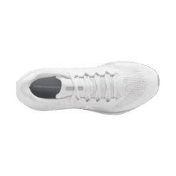 Nike Men's Pegasus 41 (102 - White/White-Pure Platinum) -TCRunning Shop AURORA FD2722 102 PHSTH001 2000