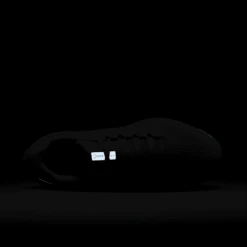 Nike Men's Pegasus 41 (102 - White/White-Pure Platinum) -TCRunning Shop AURORA FD2722 102 PHSTH200 2000