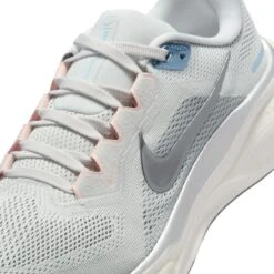 Nike Women's Pegasus 41 (007 - Photon Dust/Metallic Pewter-Sail-Echo Pink) -TCRunning Shop AURORA FD2723 007 PHSYD001 2000