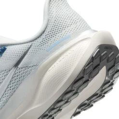 Nike Women's Pegasus 41 (007 - Photon Dust/Metallic Pewter-Sail-Echo Pink) -TCRunning Shop AURORA FD2723 007 PHSYD002 2000