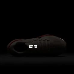 Nike Women's Pegasus 41 (011 - Phantom/Black-Picante Red-Atmosphere) -TCRunning Shop AURORA FD2723 011 PHSTH200 2000