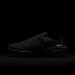 Nike Women's Pegasus 41 (112 - White/Blue Tint-Sail-Metallic Silver) -TCRunning Shop AURORA FD2723 112 PHSLH201 2000