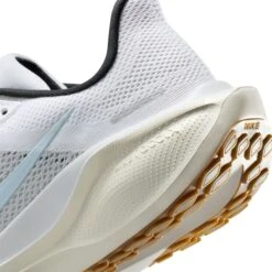 Nike Women's Pegasus 41 (112 - White/Blue Tint-Sail-Metallic Silver) -TCRunning Shop AURORA FD2723 112 PHSYD002 2000