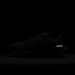 Nike Women's Pegasus 41 (500 - Hydrangeas/Dusty Cactus-Barely Grape) 20 Nike Women's Pegasus 41 (500 - Hydrangeas/Dusty Cactus-Barely Grape) -TCRunning Shop AURORA FD2723 500 PHSLH201 2000