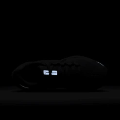 Nike Women's Pegasus 41 (500 - Hydrangeas/Dusty Cactus-Barely Grape) 21 Nike Women's Pegasus 41 (500 - Hydrangeas/Dusty Cactus-Barely Grape) -TCRunning Shop AURORA FD2723 500 PHSTH200 2000