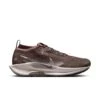 Nike Men’s React Pegasus Trail 5 GORE-TEX (012 - Ironstone/College Grey-Velvet Brown)
