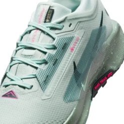 Nike Men’s React Pegasus Trail 5 GORE-TEX (013 - Light Silver/Seaweed/Clay Green) -TCRunning Shop AURORA FQ0908 013 PHSYD001 2000