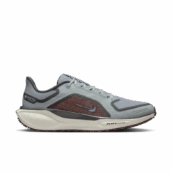 Nike Men's Pegasus 41 GORE-TEX (003 - Light Pumice/Ashen Slate-Burgundy Crush)
