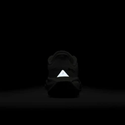 Nike Women's Pegasus 41 GORE-TEX (100 - Sail/Anthracite-Guava Ice-Crimson Tint) -TCRunning Shop AURORA FQ1357 100 PHSBH200 2000