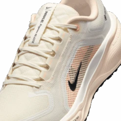 Nike Women's Pegasus 41 GORE-TEX (100 - Sail/Anthracite-Guava Ice-Crimson Tint) -TCRunning Shop AURORA FQ1357 100 PHSYD001 2000