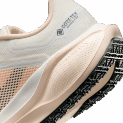 Nike Women's Pegasus 41 GORE-TEX (100 - Sail/Anthracite-Guava Ice-Crimson Tint) -TCRunning Shop AURORA FQ1357 100 PHSYD002 2000