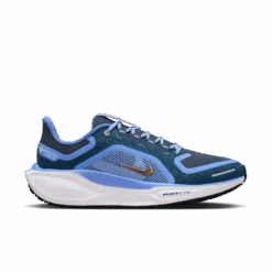 Nike Women's Pegasus 41 GORE-TEX (400 - Cobalt Bliss/Metallic Red Bronze-Armory Navy)