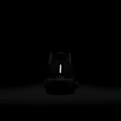 Nike Women’s Pegasus Plus (100 - Lt Orewood Brn/Coconut Milk-Sail) -TCRunning Shop AURORA FQ7261 100 PHSBH200 2000