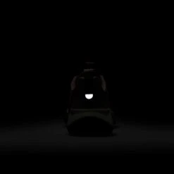 Nike Women’s Wildhorse 10 (600 - Red Stardust/Black-Lilac Ice-Mink Brown) -TCRunning Shop AURORA FV2337 600 PHSBH200 2000