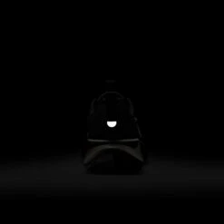 Nike Men’s Wildhorse 10 (001 - Black/Wolf Grey-Anthracite-Platinum Tint) -TCRunning Shop AURORA FV2338 001 PHSBH200 2000