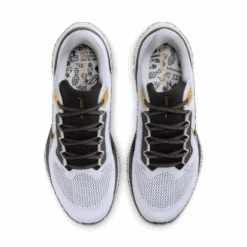 Nike Men's Pegasus 41 (100 - White/Black-Metallic Gold-Light Smoke Grey) -TCRunning Shop AURORA HQ3220 100 PHCTH001 2000