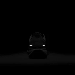 Nike Men's Pegasus 41 (100 - White/Black-Metallic Gold-Light Smoke Grey) -TCRunning Shop AURORA HQ3220 100 PHSBH200 2000