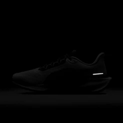 Nike Men's Pegasus 41 (100 - White/Black-Metallic Gold-Light Smoke Grey) -TCRunning Shop AURORA HQ3220 100 PHSLH201 2000