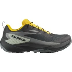 Salomon Men's Genesis GTX (Black/Sedona Sage/Incaberry)