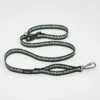Stunt Puppy Stunt Runner Hands-Free Dog Leash - Pines Green